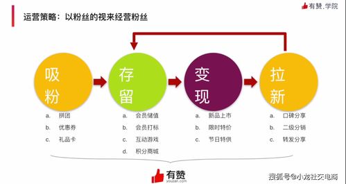 齊峰果業 從傳統農業到品牌電商的戰略跨越與運營策略解析